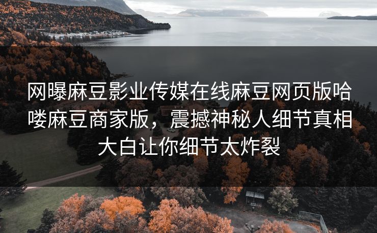 网曝麻豆影业传媒在线麻豆网页版哈喽麻豆商家版，震撼神秘人细节真相大白让你细节太炸裂